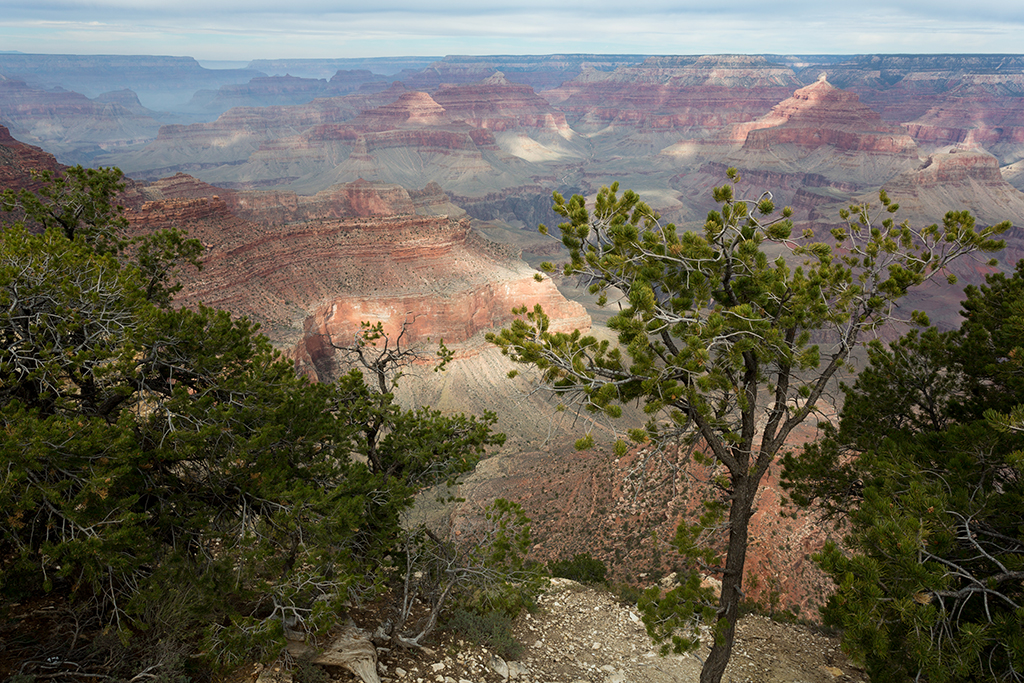 10-17 - 01.jpg - Grand Canyon National Park, South Rim